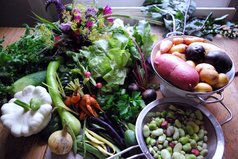 Gabrielle's Allotment